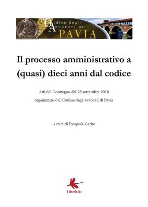 Book cover of Il processo amministrativo a (quasi) dieci anni dal codice