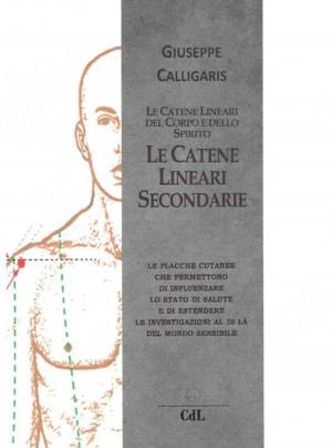 Cover of the book Le Catene Lineari Secondarie by Annie Besant - Charles Leadbeater