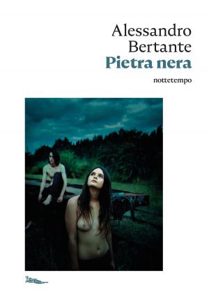 Cover of the book Pietra nera by Ernest Bywater