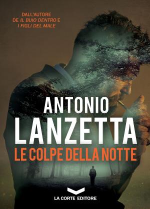 Book cover of Le colpe della notte
