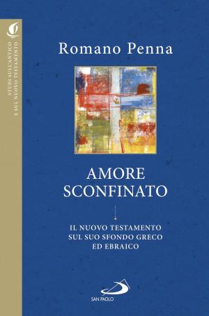 Book cover of Amore sconfinato