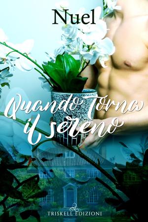 Cover of the book Quando torna il sereno by Kaje Harper