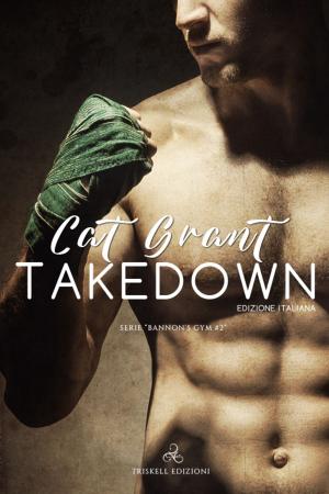 Cover of the book Takedown by Josh Lanyon