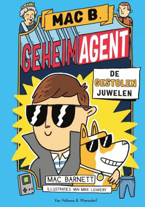 Cover of the book De gestolen juwelen by L.G. McFerren