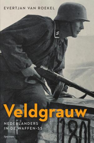 Cover of the book Veldgrauw by Dolf de Vries