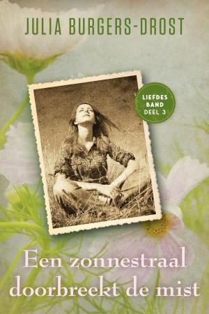Cover of the book Een zonnestraal doorbreekt de mist by Leni Saris