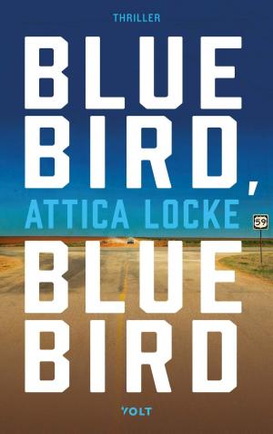 Cover of the book Bluebird, bluebird by Machteld Zee