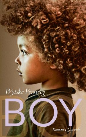 Cover of the book Boy by Håkan Nesser
