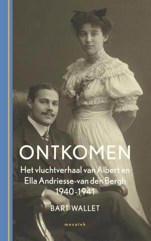 Cover of the book Ontkomen by Jan Frederik van der Poel