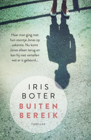 Cover of the book Buiten bereik by Amanda Berry, Gina DeJesus