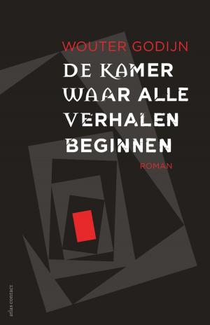 Cover of the book De kamer waar alle verhalen beginnen by Kameron Hurley