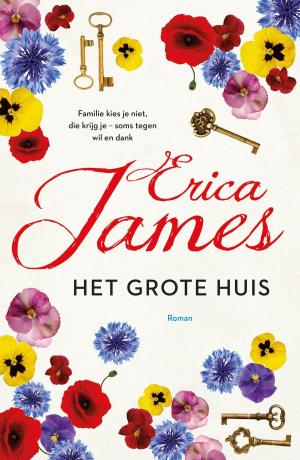 Cover of the book Het grote huis by AC Baantjer, Gerrit Mollema, Peter Romer