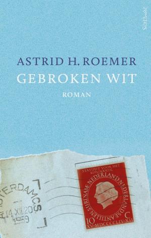 Cover of the book Gebroken Wit by Anne Mette Hancock