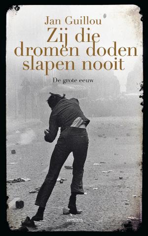 Cover of the book Zij die dromen doden slapen nooit by Derk R. Stokmans