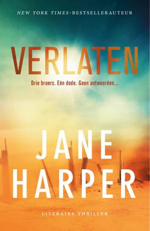 Cover of the book Verlaten by Åke Edwardson