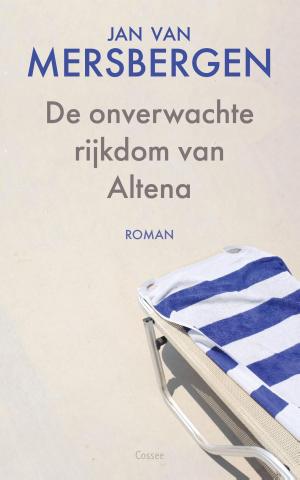 Cover of the book De onverwachte rijkdom van Altena by David Foenkinos