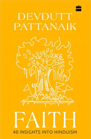 Cover of the book Faith: 40 Insights into Hinduism by Nastur Daruwalla, Bejan Daruwalla