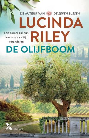 Cover of the book De olijfboom by Mons Kallentoft