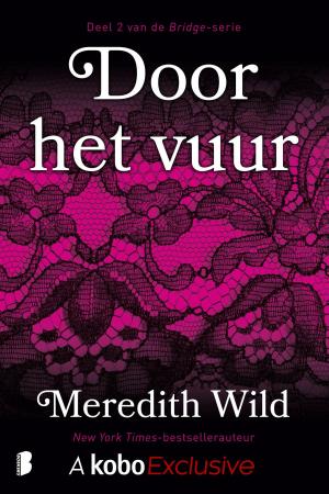 Cover of the book Door het vuur by Melissa Stevens