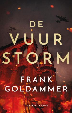 Cover of the book De vuurstorm by Youp van 't Hek