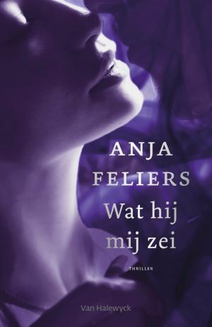Cover of the book Wat hij mij zei (e-book) by Anja Feliers