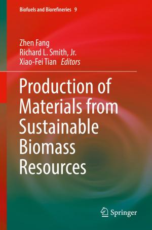 Cover of the book Production of Materials from Sustainable Biomass Resources by Pavel G. Talalay
