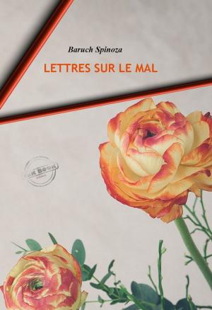 Cover of the book Lettres sur le mal by Charles Webster Leadbeater