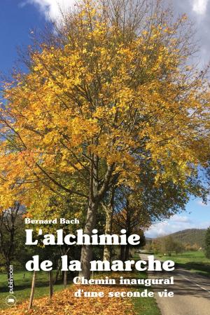 bigCover of the book L'alchimie de la marche by 