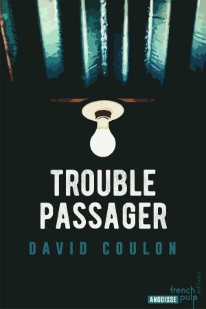 Cover of the book Trouble passager by Gwendoline Finaz de villaine