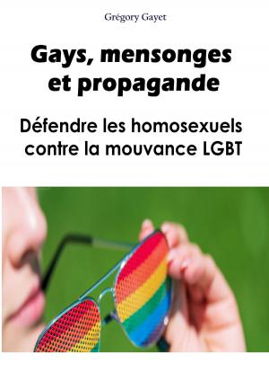 Cover of the book Gays, mensonges et propagande by Anne IDOUX-THIVET