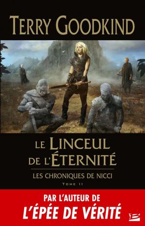 Cover of the book Le Linceul de l'éternité by James Clemens