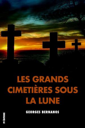 Cover of the book Les Grands Cimetières sous la Lune by Adelaide Books Publishers