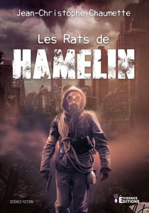 Cover of the book Les rats de Hamelin by Gina Monte-Corges