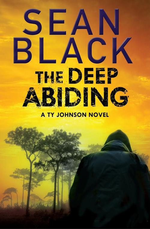 Cover of the book The Deep Abiding by Sean Black, Sean Black Digital