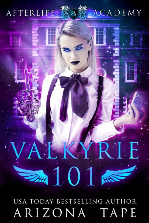 Cover of the book Valkyrie 101 by Arizona Tape, Vampari Press
