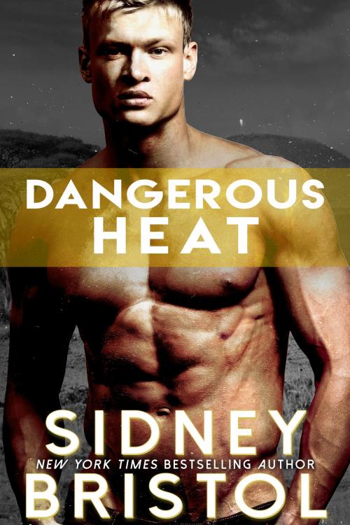 Cover of the book Dangerous Heat by Sidney Bristol, Inked Press