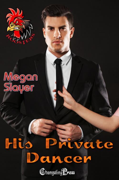 Cover of the book Private Dancer by Megan Slayer, Changeling Press LLC