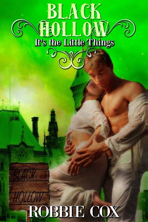 Cover of the book Black Hollow: It's the Little Things by Robbie Cox, Robert Cox