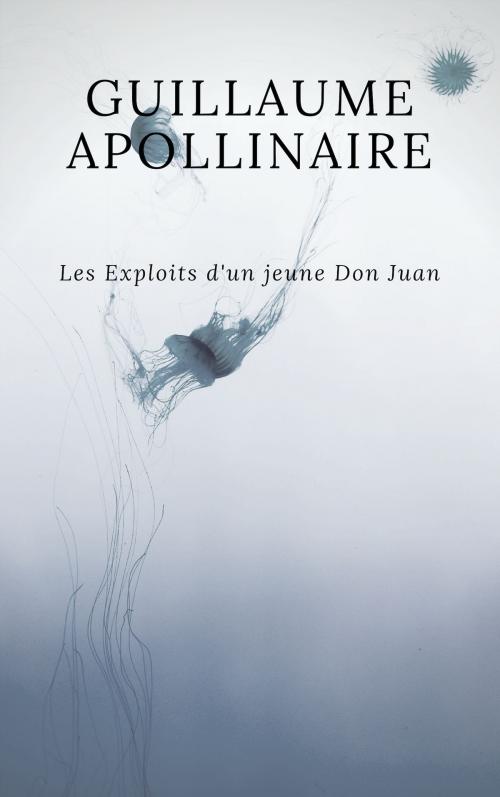 Cover of the book Les Exploits d'un jeune Don Juan by Guillaume Apollinaire, Guillaume Apollinaire