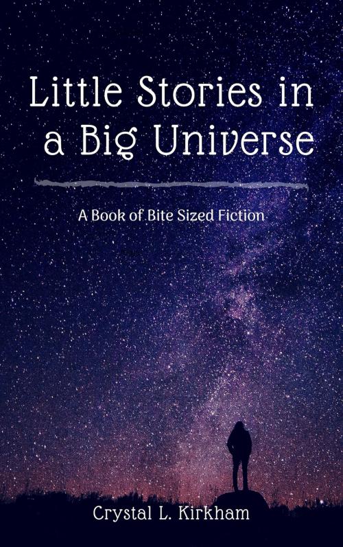Cover of the book Little Stories in a Big Universe by Crystal L. Kirkham, Crystal L. Kirkham