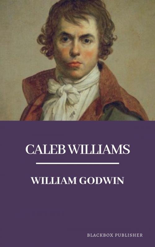 Cover of the book Caleb Williams by William Godwin, UnderPress Books