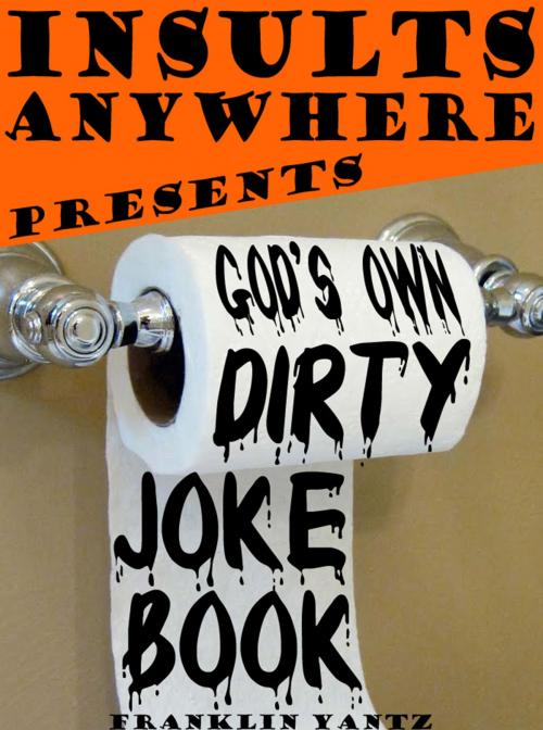 Cover of the book Insults Anywhere Presents: God's Own Dirty Joke Book by Franklin Yantz, Insults Anywhere