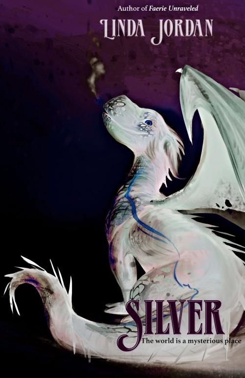 Cover of the book Silver by Linda Jordan, Metamorphosis Press