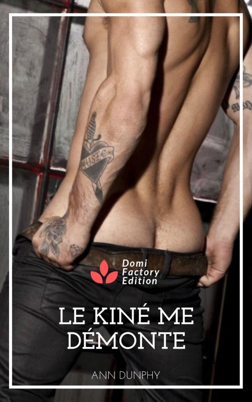 Cover of the book Le kiné me démonte by Ann Dunphy, AD Edition