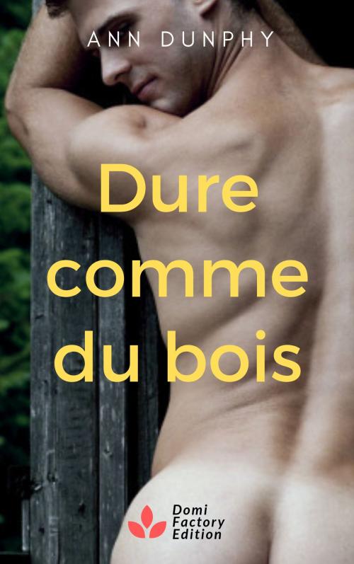 Cover of the book Dure comme du bois by Ann Dunphy, AD Edition