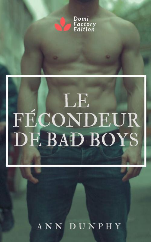 Cover of the book Le fécondeur de bad boys by Ann Dunphy, AD Edition