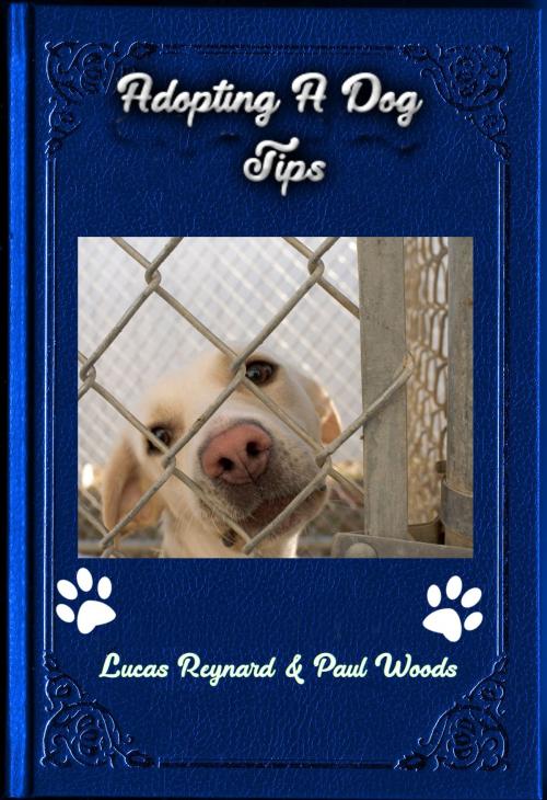 Cover of the book Adopting A Dog Tips by Lucas Reynard, Lucas Reynard