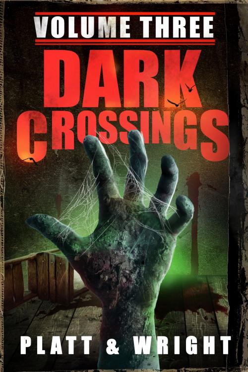 Cover of the book Dark Crossings by Sean Platt, David W. Wright, Sterling & Stone