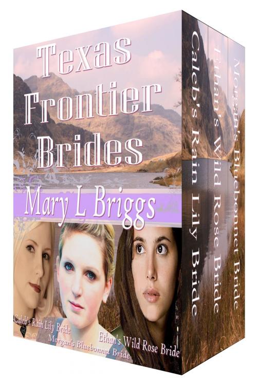 Cover of the book Texas Frontier Brides by Mary L. Briggs, Mary L. Briggs
