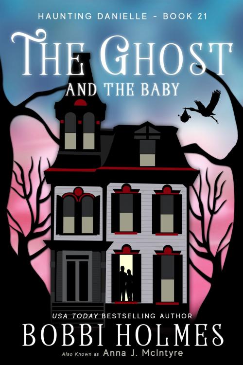 Cover of the book The Ghost and the Baby by Bobbi Holmes, Anna J McIntyre, Robeth Publishing LLC